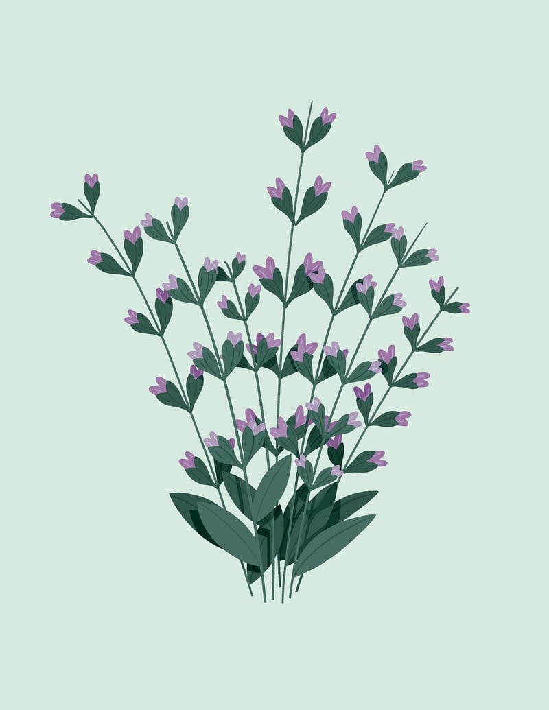 Magical Plants