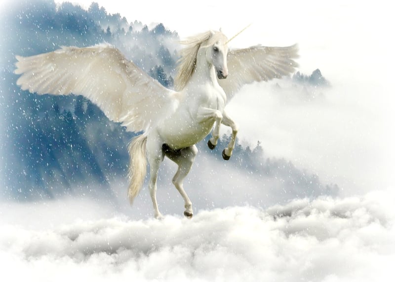 Unicorn